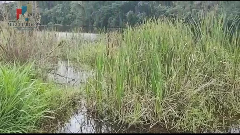Imagem Fazenda região Itapetininga SP