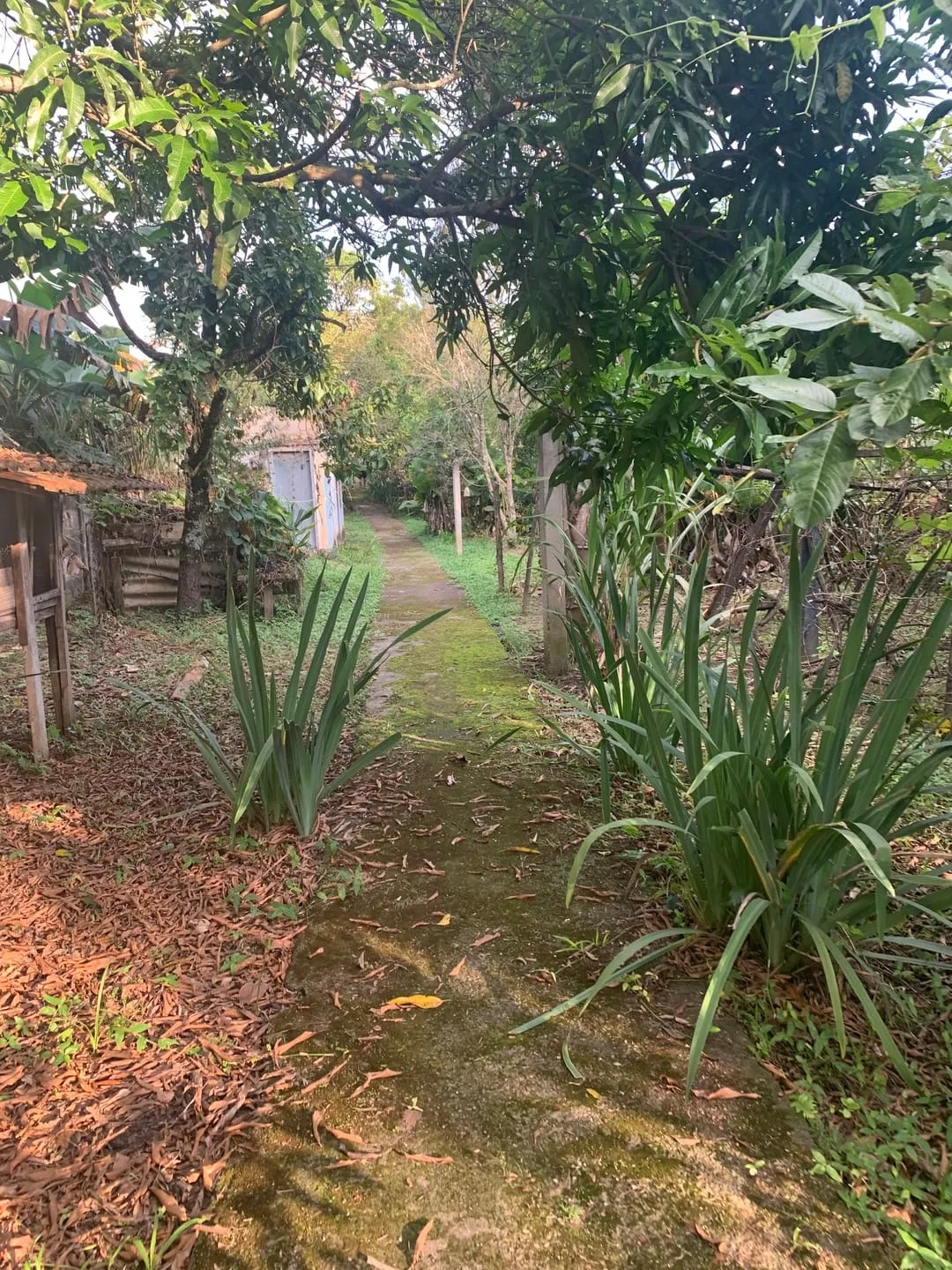 Imagem Casa à venda e locação 2 Quartos, 1 Suite, 4 Vagas, 8473.76M², Vila São Benedito, Pindamonhangaba - SP