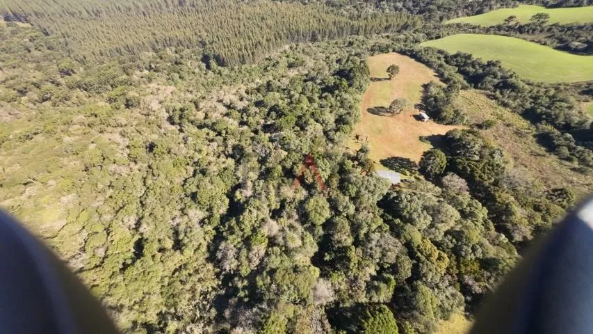 Imagem Sítio à venda com excelentes 24,62ha de área em Guarpuava PR