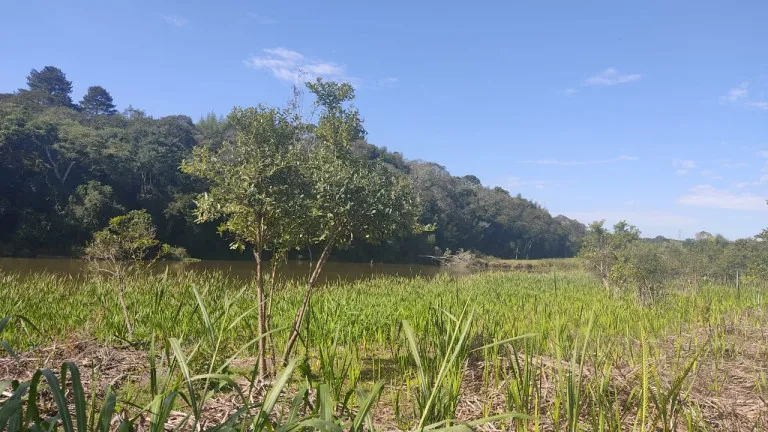 Imagem Terreno à Venda, 1.000 m² em Verava - Ibiúna