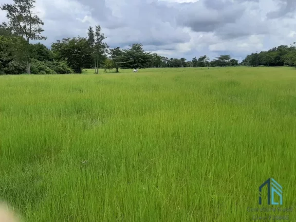 Imagem Fazenda linda 39 alqueires, com casa peão e casa sede, Município de Mossamedes GO
