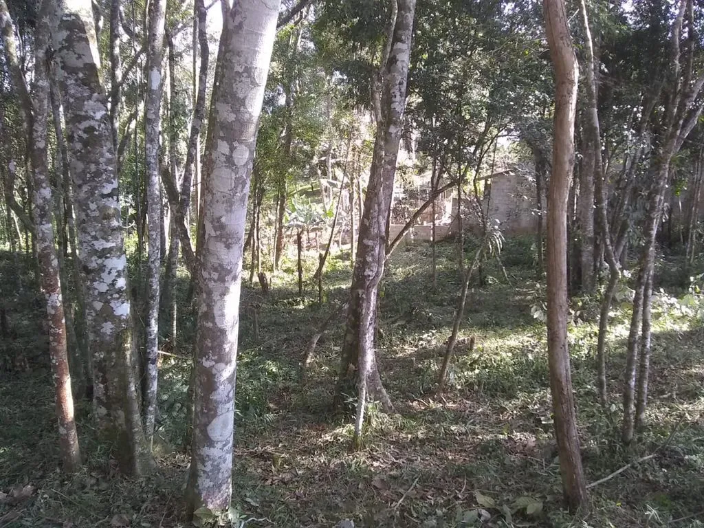 Imagem Terreno à Venda em Caputera, Cotia - SP