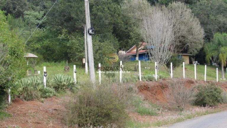 Imagem Sítio / Chácara para Venda em Alto Bela Vista, Rural
