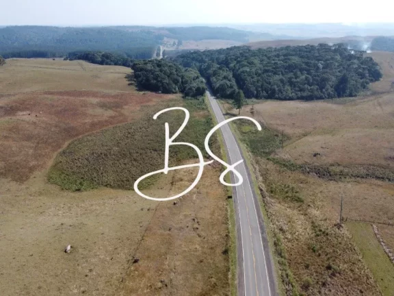 Imagem AREA RURAL em SÃO FRANCISCO DE PAULA - RS, São Francisco de Paula