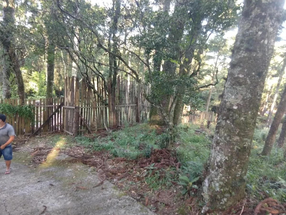 Imagem Terreno para Venda em São Francisco de Paula / RS