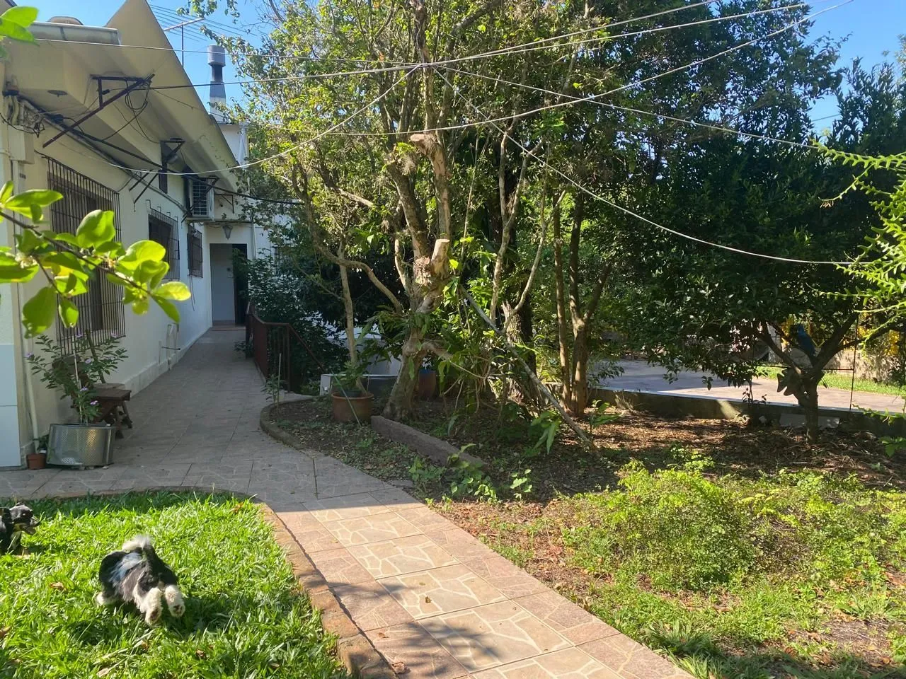 Imagem Casa em Vila Nova