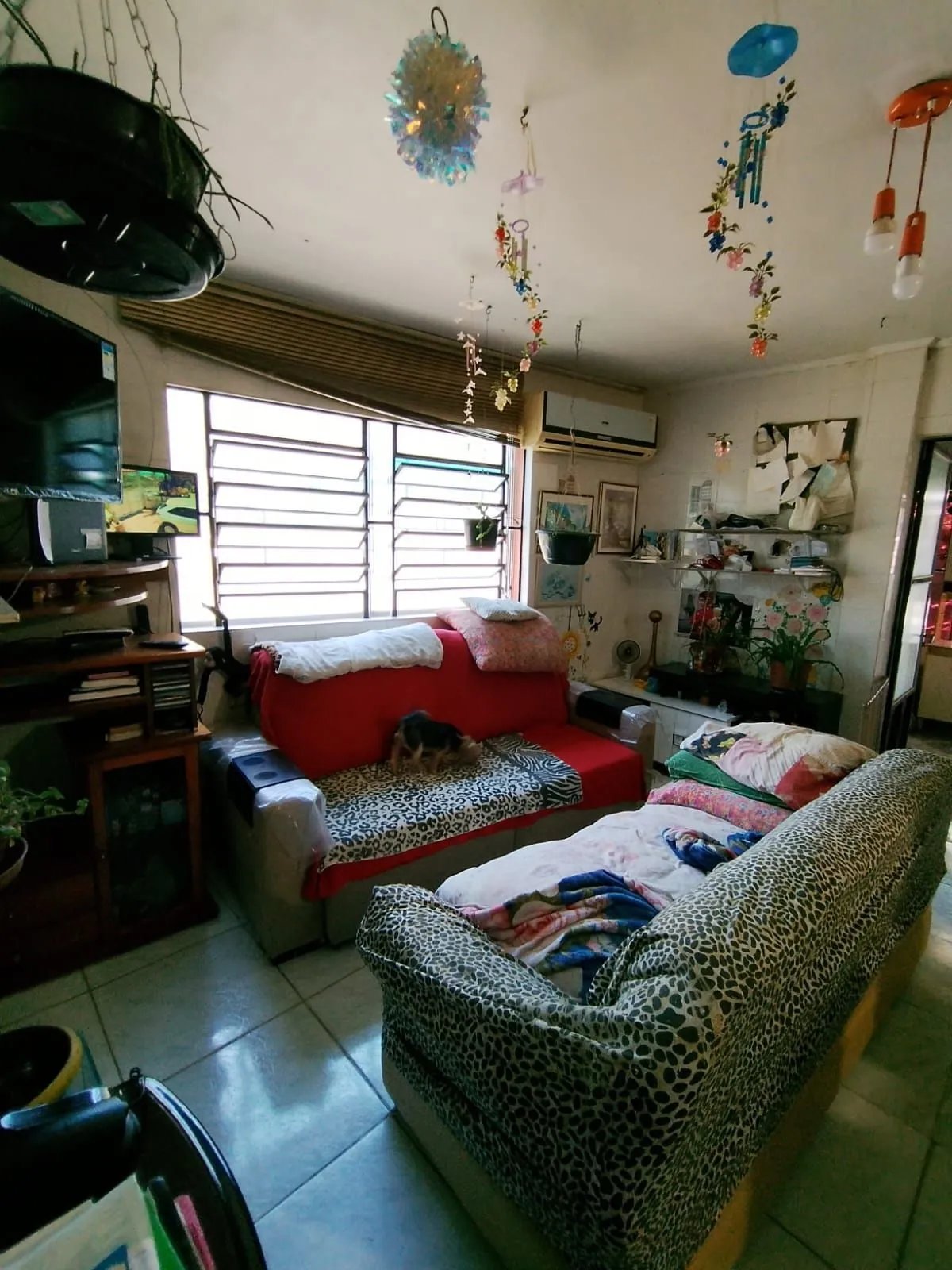 Imagem Casa em Tristeza