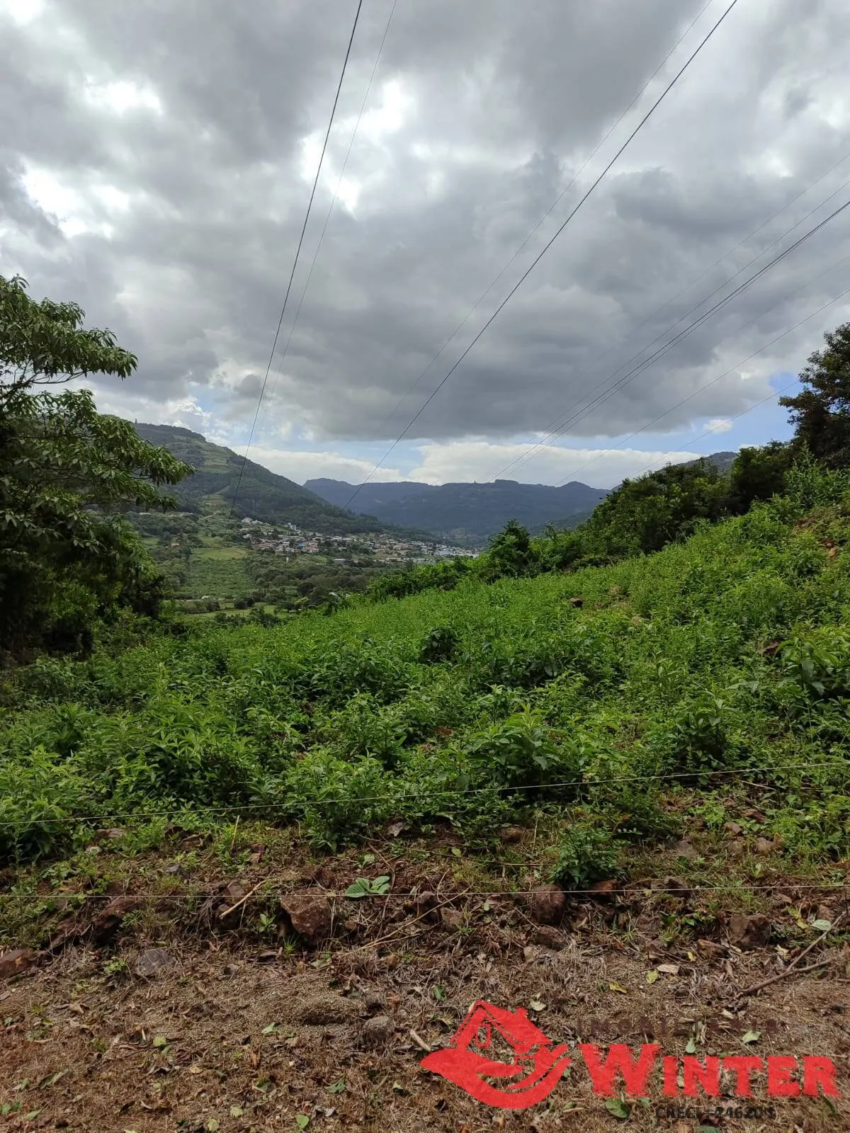 Imagem Chácara de 9 hectares localidade de Bananal, Feliz.