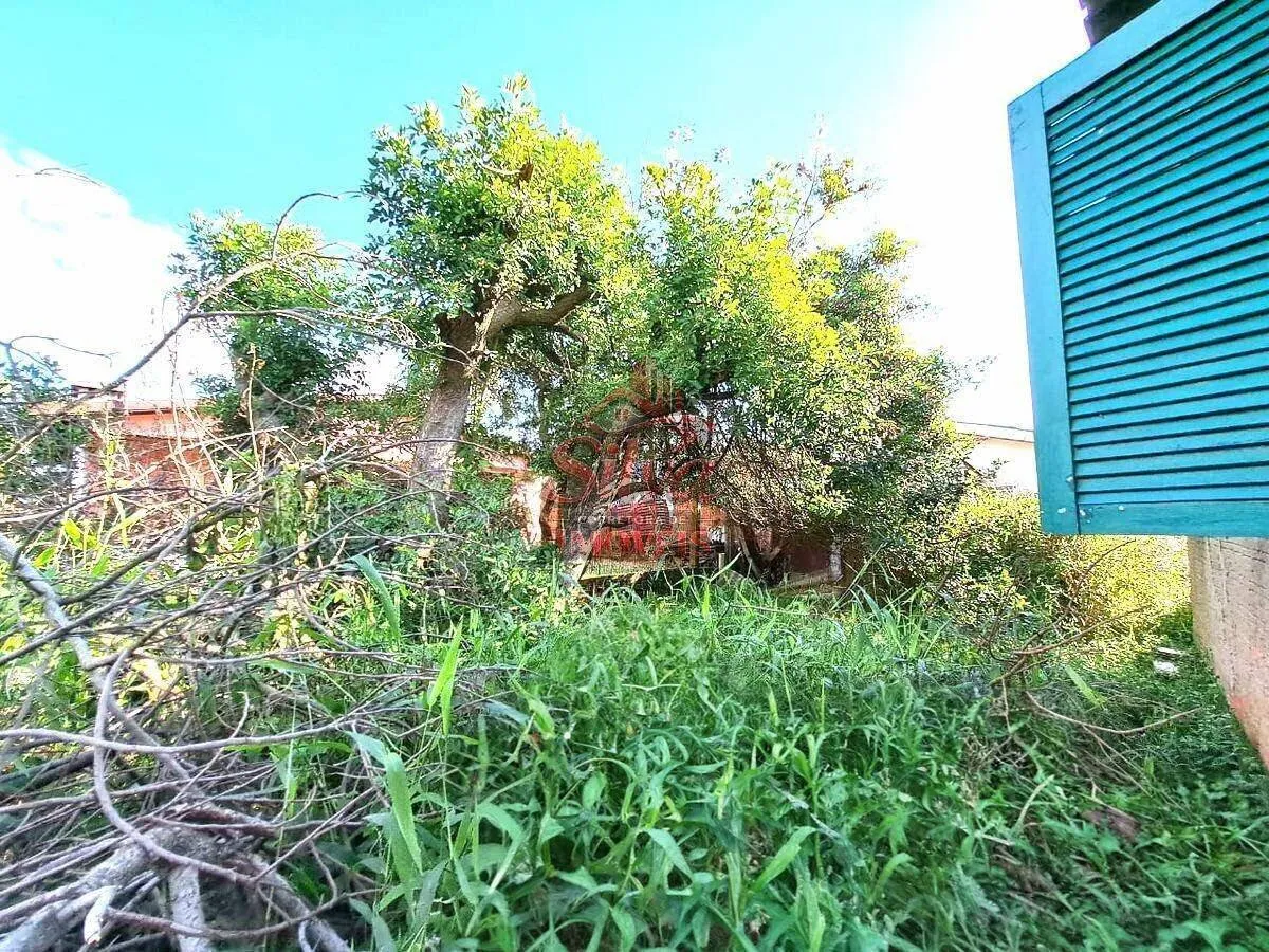 Imagem C290 | Casa 2 dormitórios à venda em Imbé