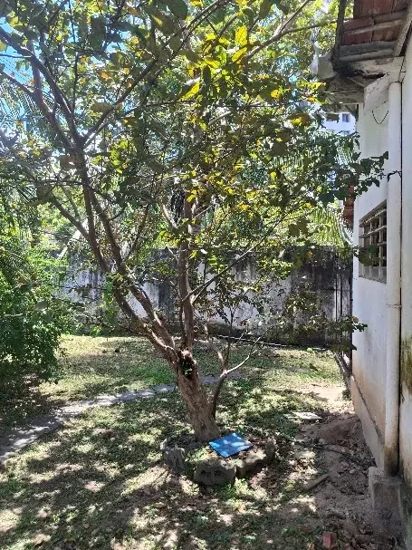 Anuncio Imóvel
