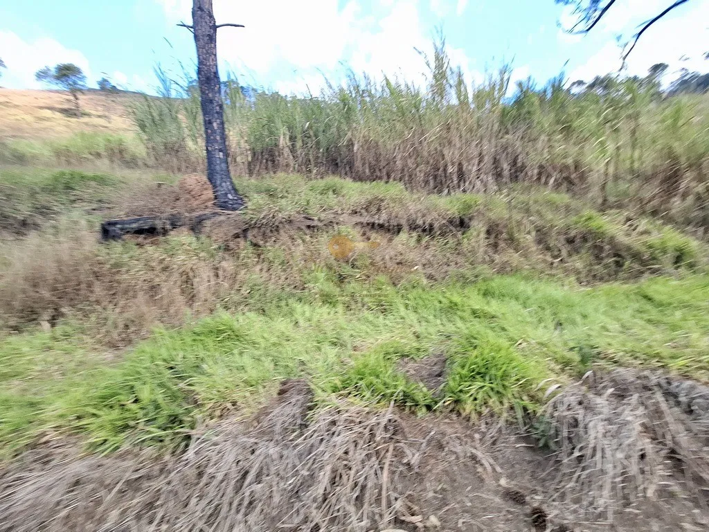Imagem Terreno para Venda em Teresópolis / RJ no bairro Fazenda Suiça
