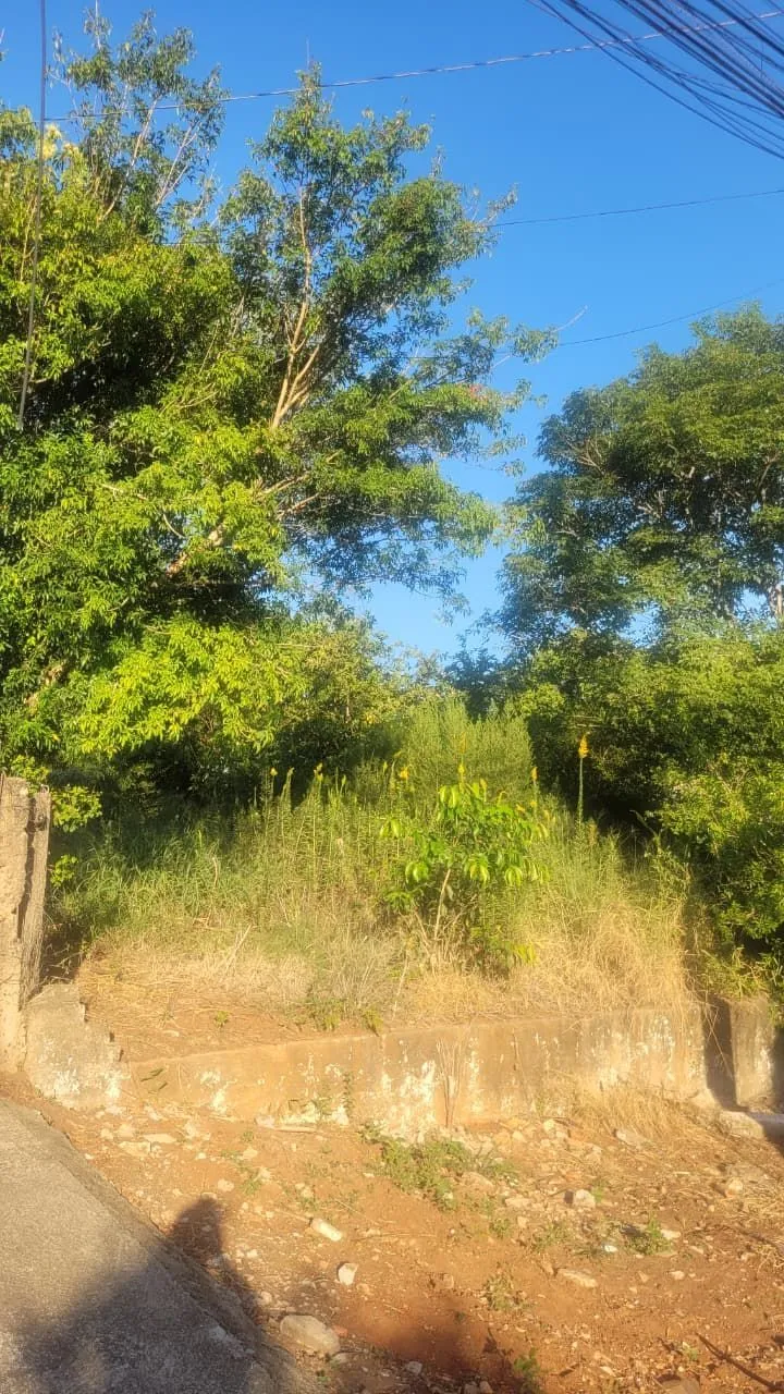 Imagem Terreno 13x30 no Leteamento Vista Alegre em Cachoeirinha