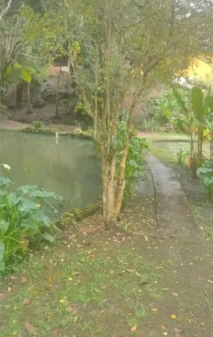 Imagem Chacara ibiuna 4.500 MTS,com 5 dormitórios sendo 4 suítes