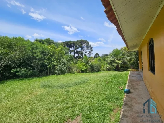 Imagem Chácara 04 casas, um comércio, tanque de peixes, ótimo investimento em QUATRO BARRAS PR