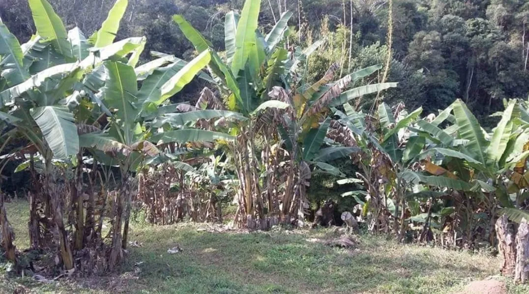 Foto do imóvel Chácara à venda 4 Quartos, 4 Suites, 1452000M², Zona Rural, Salesópolis - SP