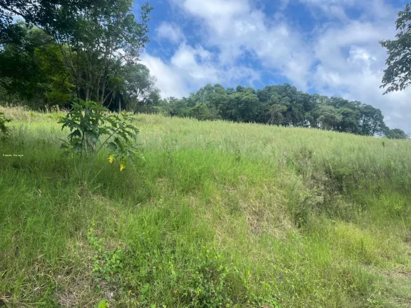 Imagem Terreno para Venda em Itá, SC 155