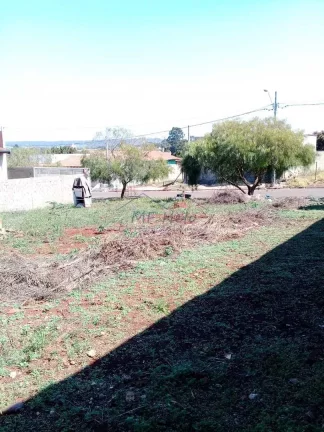 Imagem Terreno Padrão