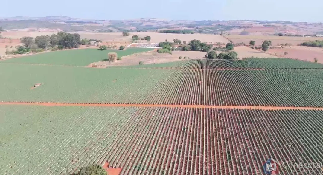 Imagem Fazenda à venda, 460000 m² por R$ 9.000.000,00 - Área Rural de Patos de Minas - Patos de Minas/MG