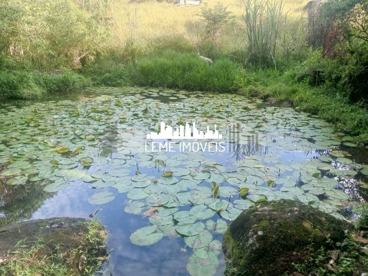 Imagem LINDO SITIO RICO EM ÁGUA MEDINDO 140,00 MIL METROS!!!