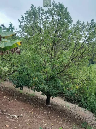 Imagem otima casa