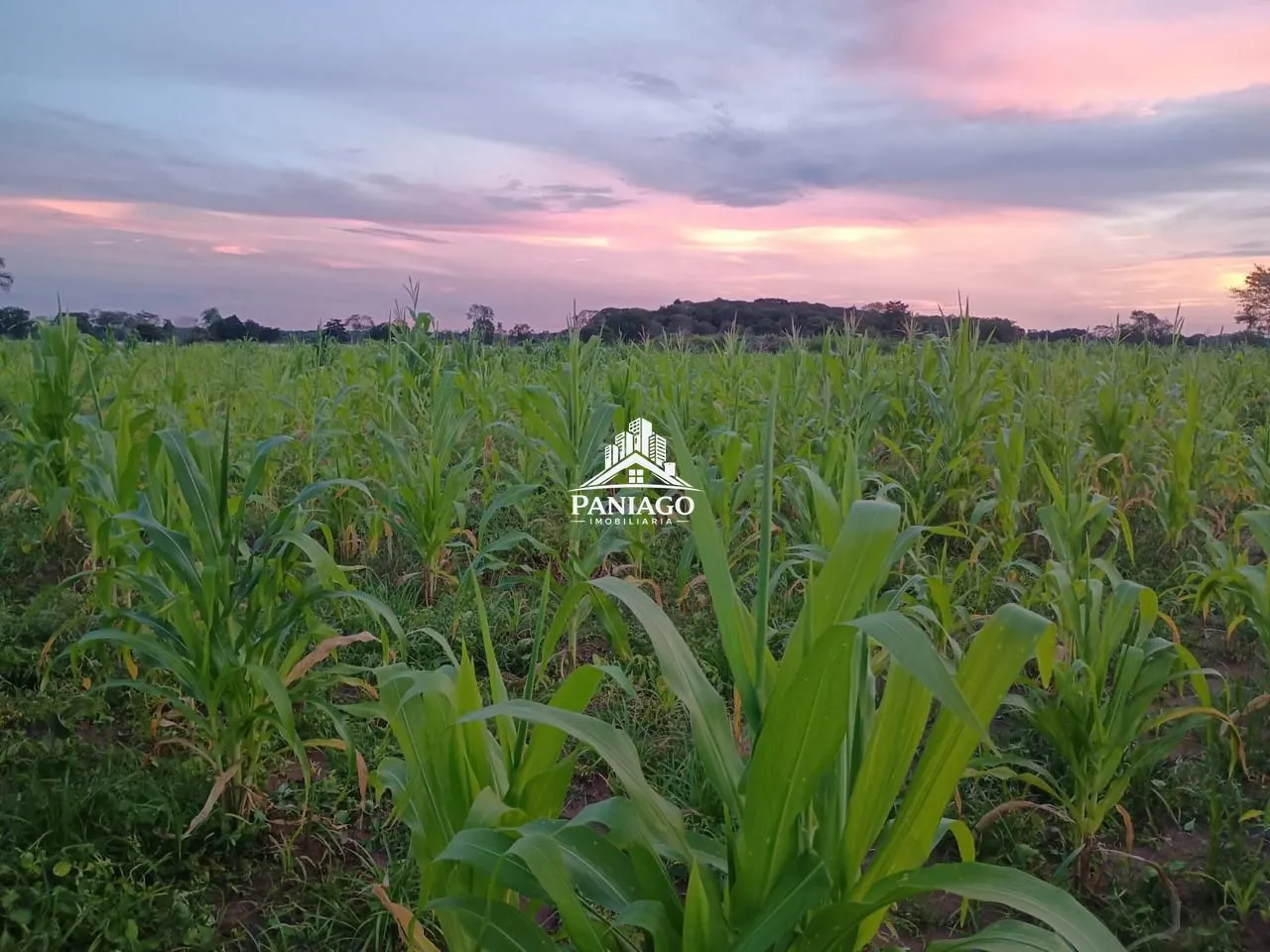 Sítio à Venda ou Troca em Cuiabá/MT | 9,6 Hectares na Região do Rio dos Couros em 000, S N - Área Rural de Cuiabá, Cuiabá - MT