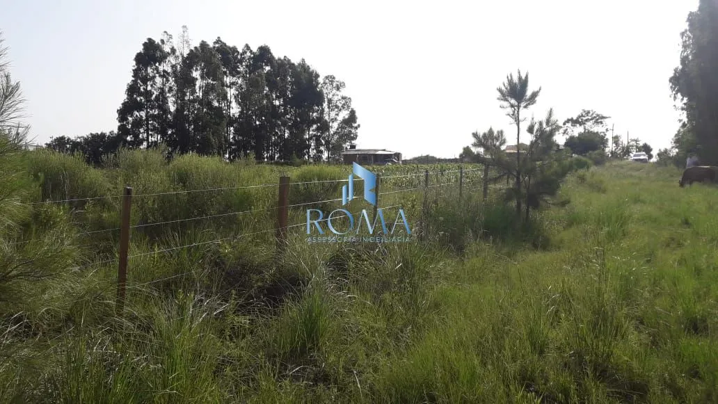 Imagem Terreno à venda Diácono João Luiz Pozzobon Santa Maria/RS