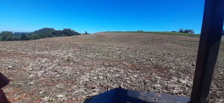 Imagem Área Agrícola para Venda em Ipumirim, Interior
