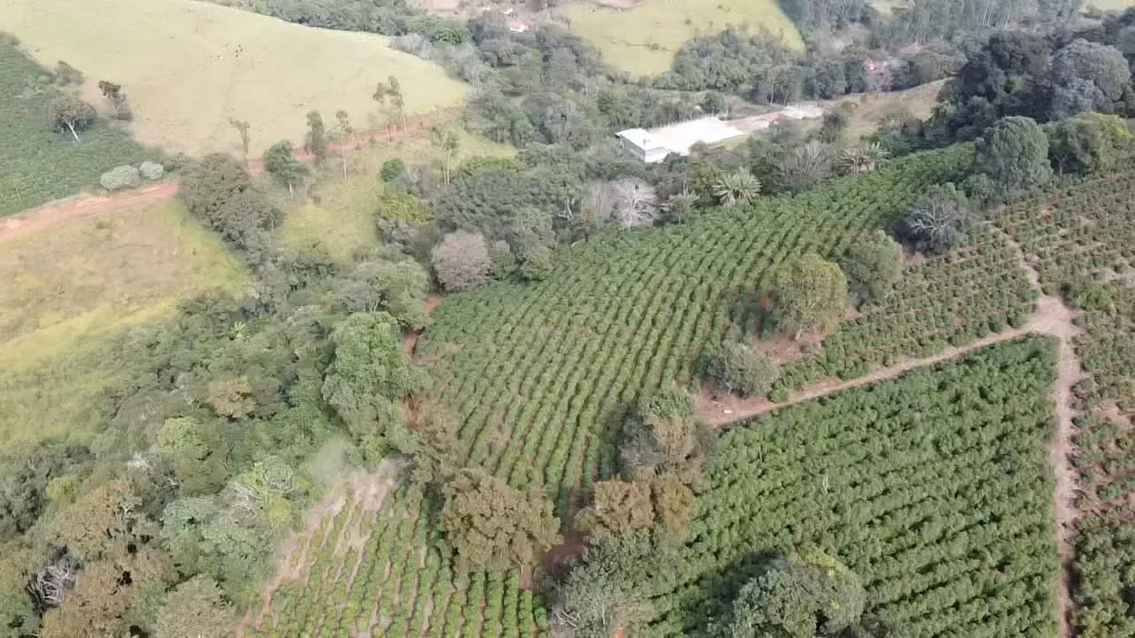 Imagem Sítio 3,63 ha à venda em Primos, Campestre