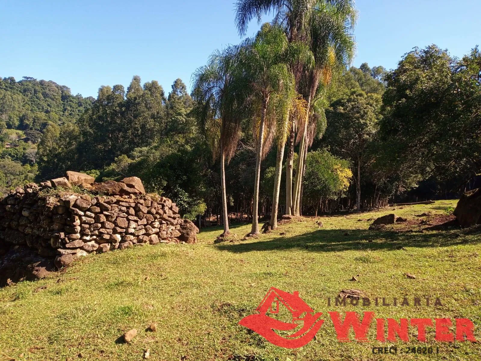 Imagem LIndo sítio com 7,2 hectares em Alto Feliz.