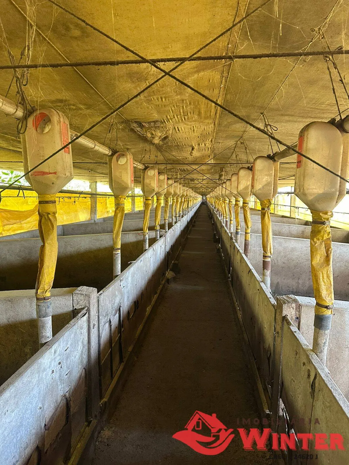 Imagem Área de terras de 2,5 hectares com chiqueiro em Bananal, Feliz.