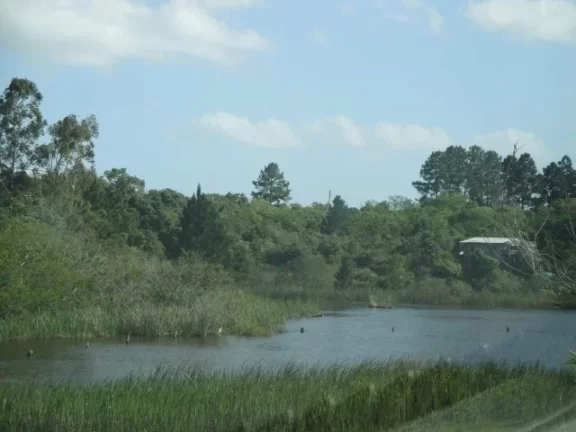 Imagem Área de 4 Hectares, Frente Estrada da Ambev, Lagoa, Águas Claras/ Viamão