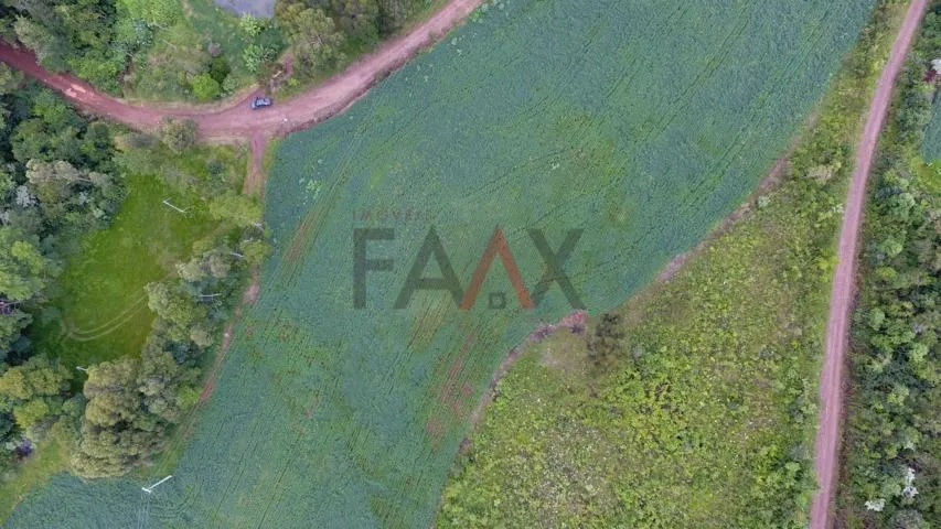Rural à venda,112719.00m², Linha São Paulo, RENASCENCA - PR