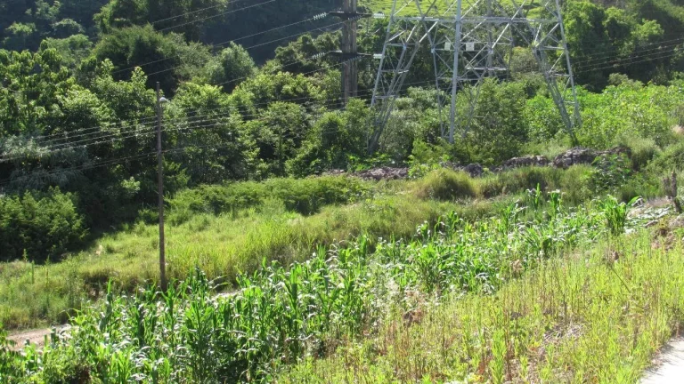 Imagem Terreno para Venda em Concórdia, Jardim