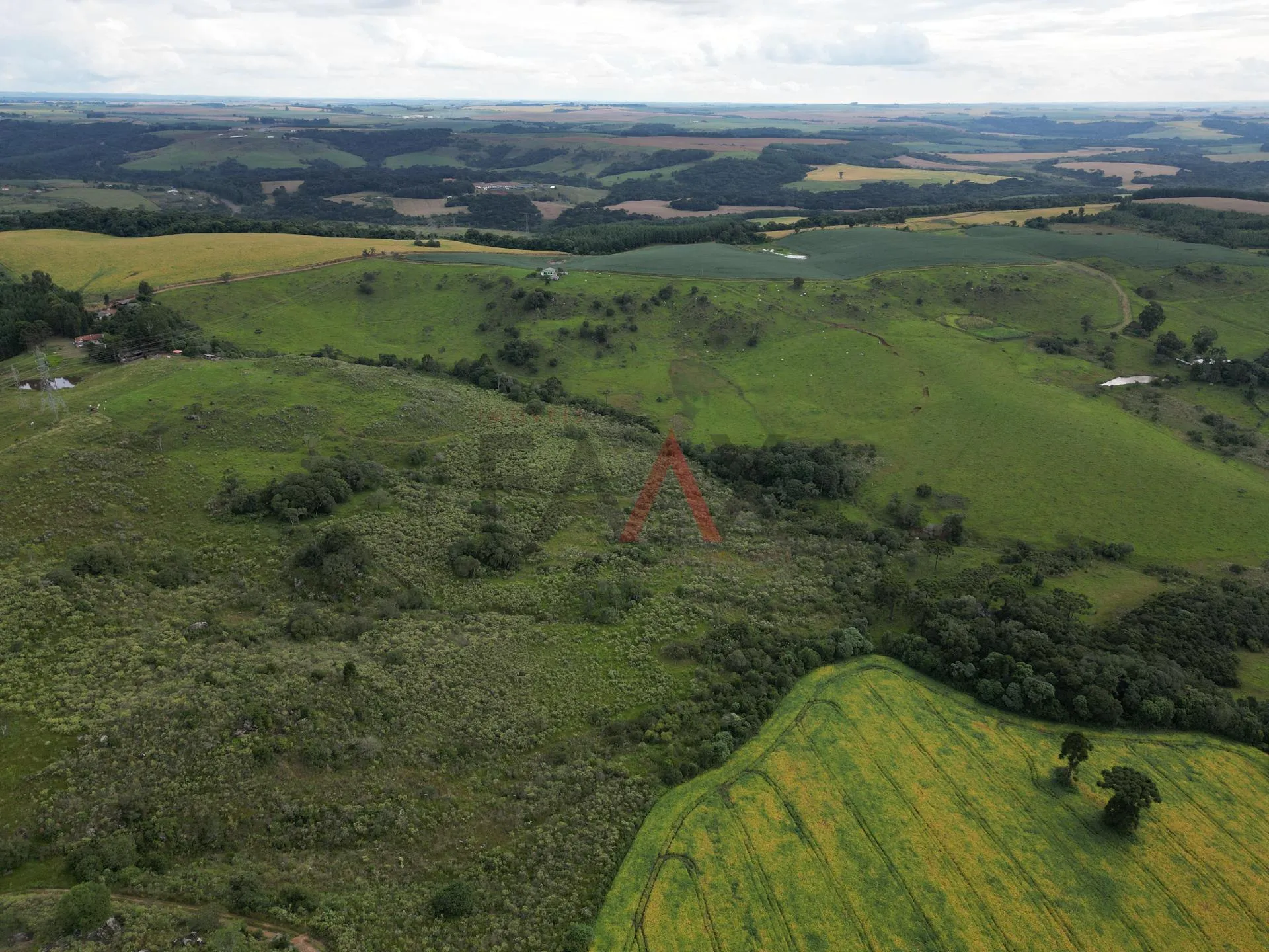 Imagem Chácara com 1.210.000,00m as margens da BR-277 em GUARAPUAVA - PR