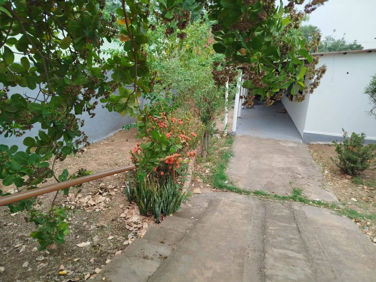 Imagem Casa 3 quartos Bairro Itapajé
