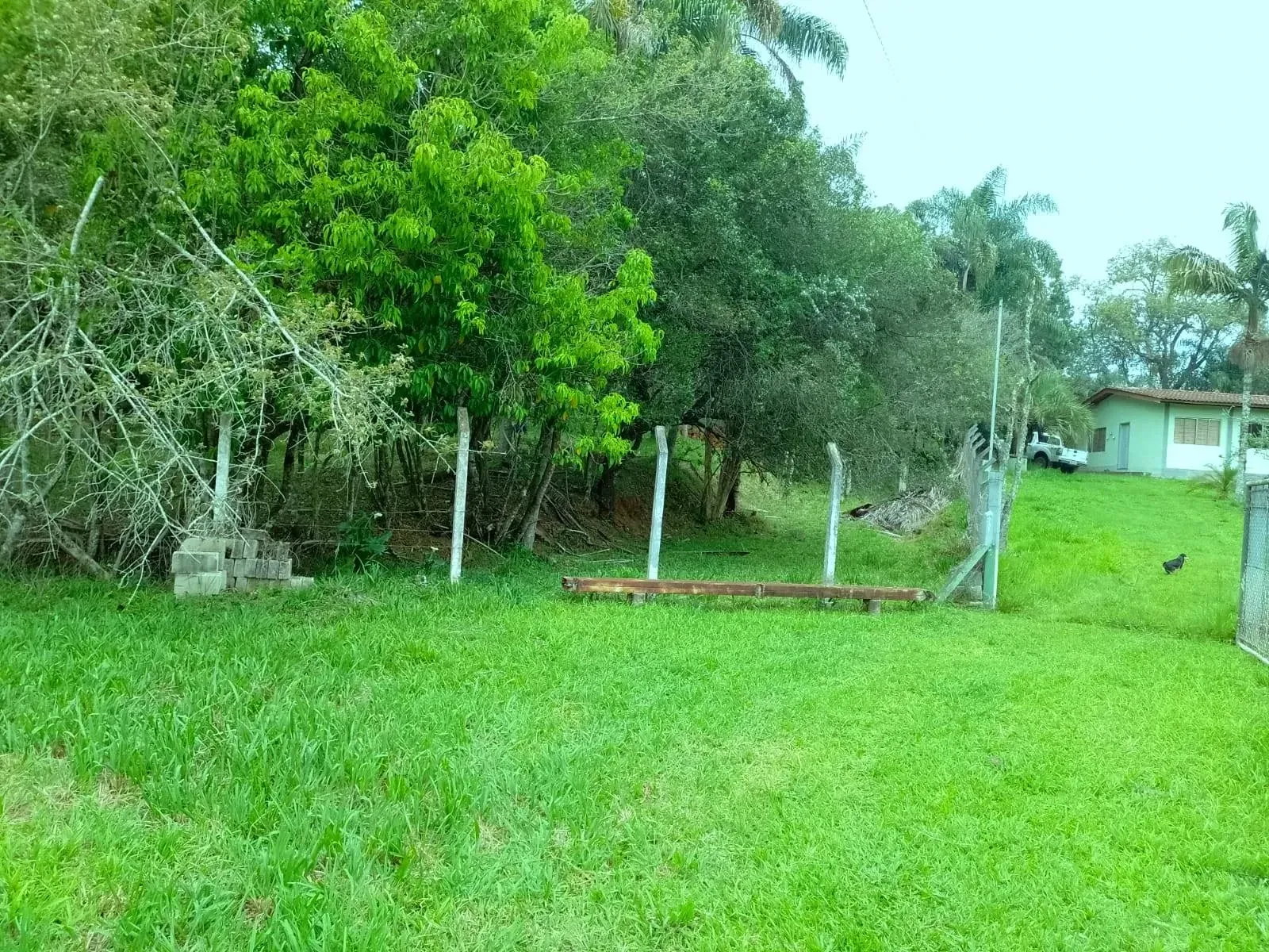 Imagem Chácara com 2 Quartos à Venda, 80 m² em Caldas - Caldas