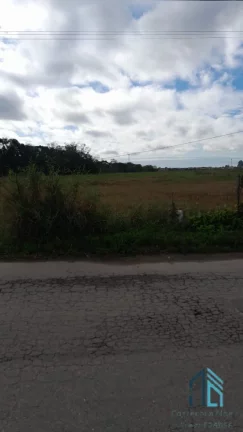 Imagem TERRENO LOGÍSTICO PREMIUM: 19.224m², com Viabilidade pelo Novo Plano Diretor, em ITAJAÍ - SC