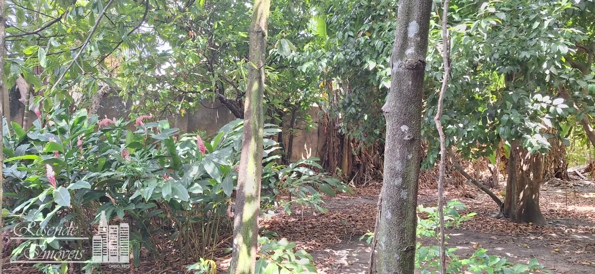 Imagem CASA 5 DORMITÓRIOS À VENDA EM UMARIZAL, BELÉM/PA