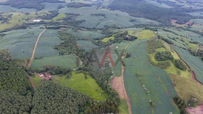Imagem Rural à venda,112719.00m², Linha São Paulo, RENASCENCA - PR