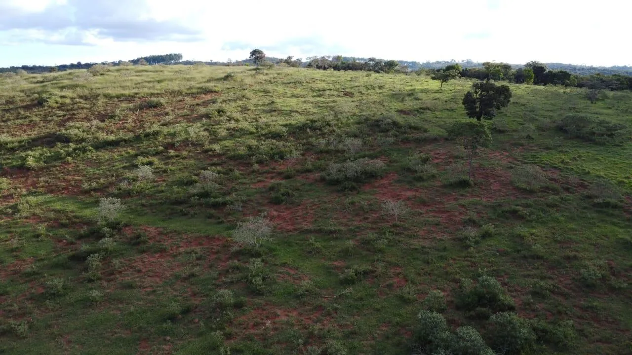 Imagem Excelente terreno rural à venda em Passa Tempo/MG 50 hectares de terra
