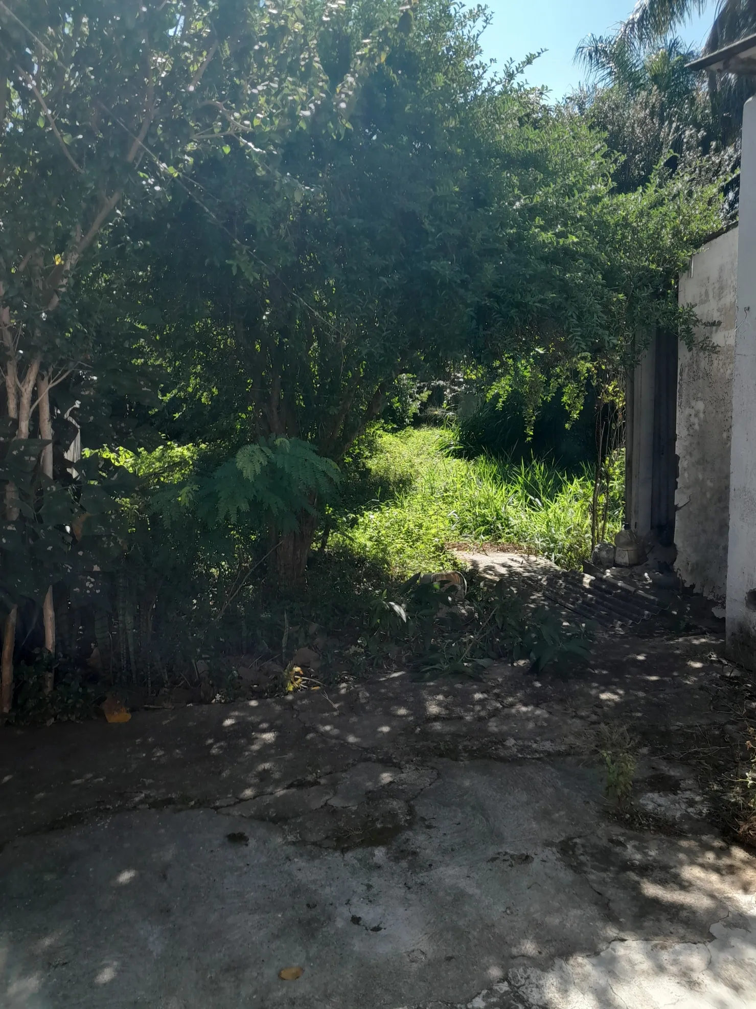 Imagem Casa à venda, Boa vista,a 5 minutos do centro