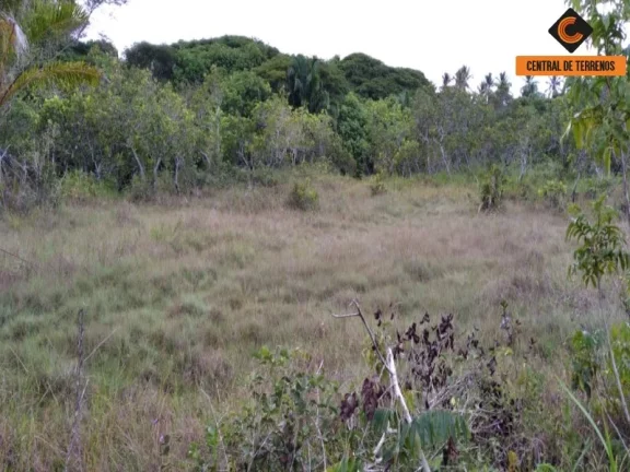 Imagem TERRENO NA VIA PARAFUSO