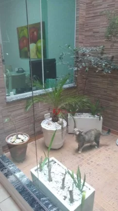 Imagem Casa com 3 dormitórios à venda, 150 m por R$ 580.000,00 - Arthur Alvim - São Paulo/SP