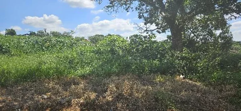 Foto do imóvel Oportunidade Única em CAPIVARI - SP | Tipo: Terreno | Negociação: Venda Online | Situação: Imóvel em RUA JOAO ROSSI