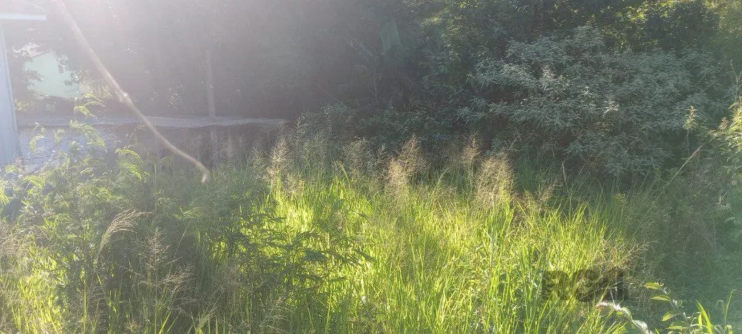 Imagem Terreno em Nonoai
