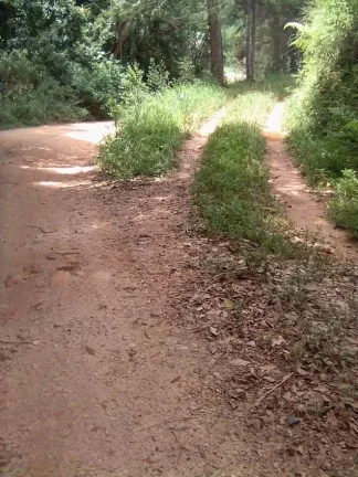 Imagem Sítio Joanópolis 11 alqueires pasto riacho escritura!!