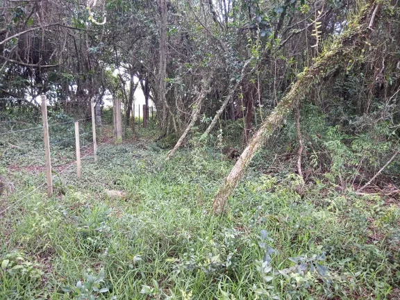 Imagem INVESTIDORES !!! - Excelente área de 2 Hectares, em Águas Claras, Viamão