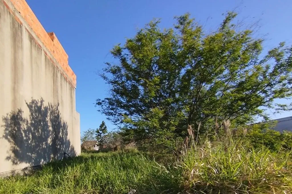 Imagem Terreno em Brigadeira