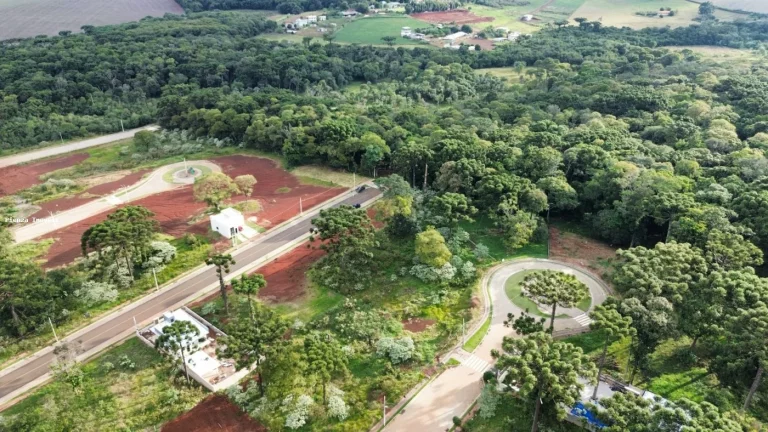 Foto do imóvel Terreno para Venda em Chapecó, Água Santa em Rua Silvana Aparecida Motta Rodrigues
