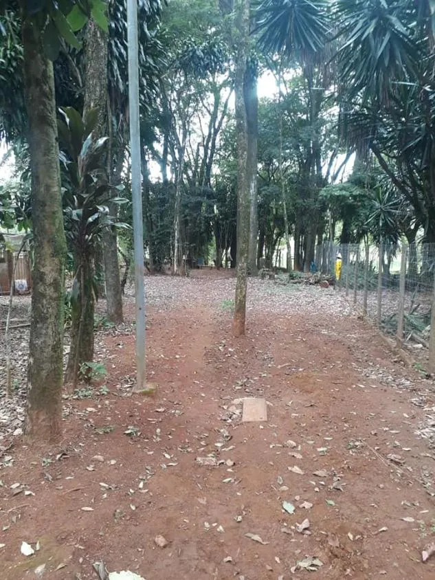 Imagem Venda de Sítio em Igarapé/MG / com 8.000 m²